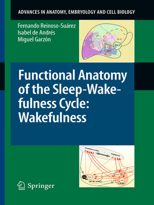 cover image of Functional Anatomy of the Sleep-Wakefulness Cycle